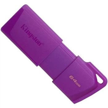 USB флеш накопитель Kingston 64GB DataTraveler Exodia M Purple USB 3.2 Gen 1 (KC-U2L64-7LP)
