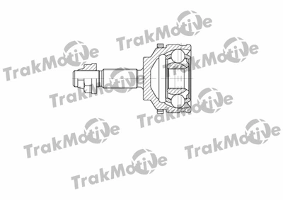 ШРУС в сборе, комплект Renault Kangoo/Clio, TRAKMOTIVE (400661)
