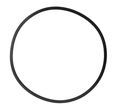 Уплотнительное кольцо к фильтру SunSun HW- 304,404,704 A/B