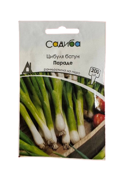 Цибуля батун Параде 200 шт