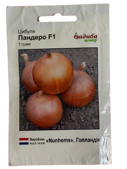 Цибуля Пандеро F1 (1 г)