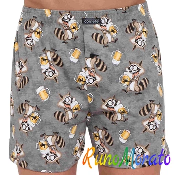 Мужские трусы семейные Cornette Classic 001-194 XXL
