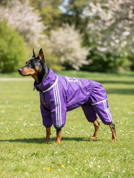 Дощовик для великих порід собак 11XL 76-77cm Корсо Мастіф Дог Dog's Happiness Фіолетовій Хлопчик 0152-01/43