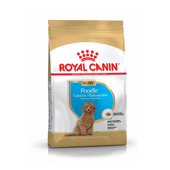 Сухой корм Royal Canin Poodle Puppy – сухой корм для щенков породы Пудель 500 г (R448445)