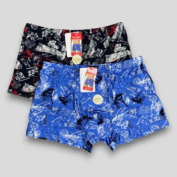 Яркие мужские боксеры SD.Boy 2XL Чёрные + Голубые (7312-2), 2 шт