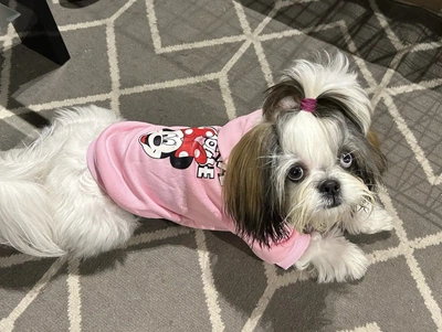 Худі для собак Minnie Mouse рожевий спинка 30