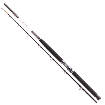 Спінінг морський Daiwa Tanacom 2.1m 400-1000gr
