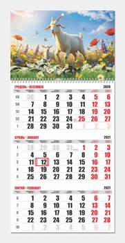 Календар Кози квартальний 2027 рік Контраст на одну пружину 02