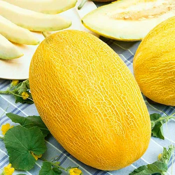 Диня Ананас, 0,5 г Проф.насіння насіння