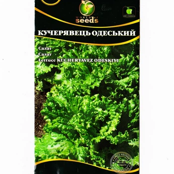 Салат Одеський кучерявець 1 г WOS насіння