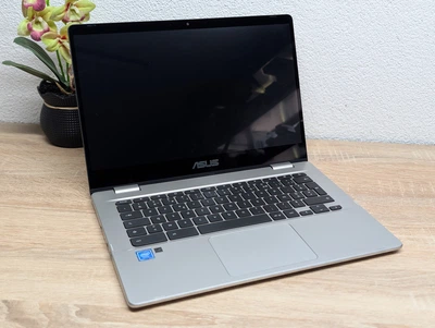 Ноутбук Asus Chrombook C423NA-EC0710