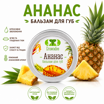 Бальзам для губ с ароматом "Ананас" на основе пчелиного воска и масла кокоса 20 мл.Erawadee (8859292850952)