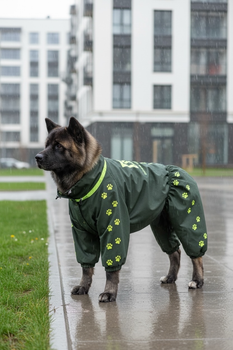 Дощовик для великих порід собак 9XL 71-72cm Корсо Мастіф Дог Dog's Happiness Темно-зелена олива Дівчинка 0116-01/20