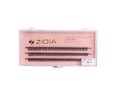 ZIDIA Cluster lashes Вії пучкові 12D C 0,10х8 mm, 3 стрічки