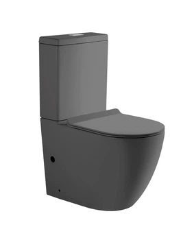 Безободочный унитаз Insana Oleo GM JL 63х36х83 см (А0059574)