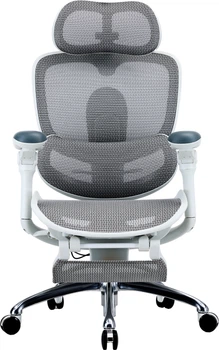 Кресло офисное Sihoo DORO C300 PRO V2 с подставкой для ног White (C300-PRO-V2-B102-JT)