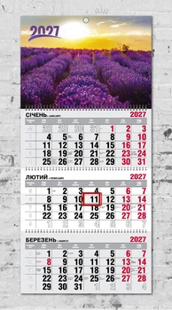 Календар настінний квартальний на 2027 рік на 3 пружини - "Квіти №5"