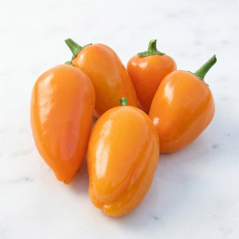 Насіння Перець гострий Халапеньйо Orange Giant, Capsicum annuum 5 шт/уп