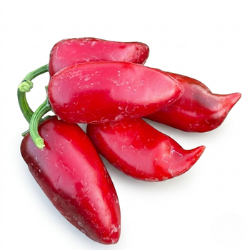 Насіння Перець гострий Халапеньйо Lesya, Capsicum annuum 5 шт/уп