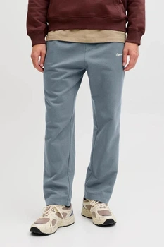 Брюки спортивні Jack & Jones 48(M) Блакитний (155842)