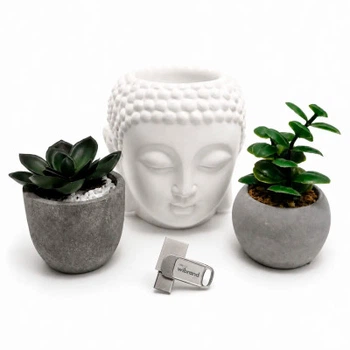 USB флеш накопитель Wibrand 256GB Bee Silver USB 3.2/Type-C (WI3.2TC/BE256TC039S)