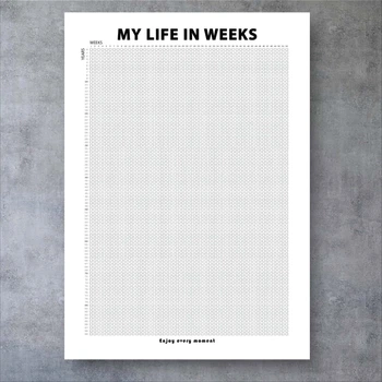 Календарь жизни в неделях Пожизненный календарь Размер 297х420 мм My Life Язык Английский 1 шт
