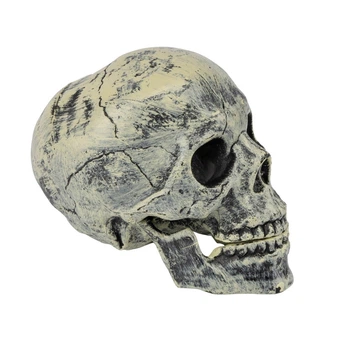 Декоративный череп 13 см декор Halloween 19406-038