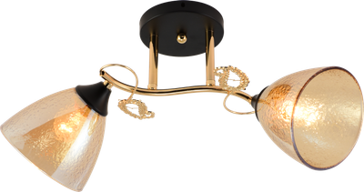 Потолочная люстра INTEREES XA1321B/2 Gold+Black на 2 плафонов