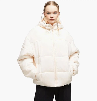 Куртка женская Nike Nsw Esstl Thrmr Clsc Puffer L Бежевый FB7672-838