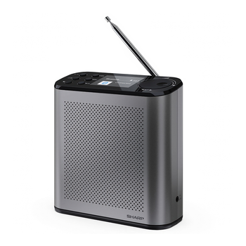 Радиоприемник Sharp DR-P530 Grey