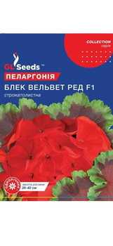 Насіння Пеларгонiї F1 Блек Вельвет Ред 5шт