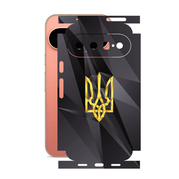 Захисна плівка StatusSKIN для Google Pixel 11 Pro XL Корпус Вініл Герб 1