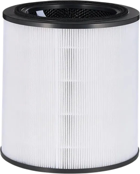 Фільтр для очисника повітря Bosch Air 4000 (7733701945)