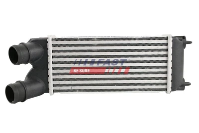Интеркулер Peugeot Partner/Citroen Berlingo, FAST (FT55575)