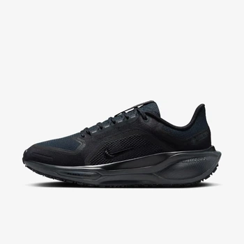 Кросівки жіночі Nike Pegasus 41 Gore-Tex 40.5 Чорний FQ1357-001