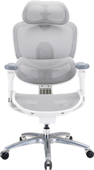 Крісло офісне ергономічне Sihoo DORO C300 LITE V2 White (4820216980127)