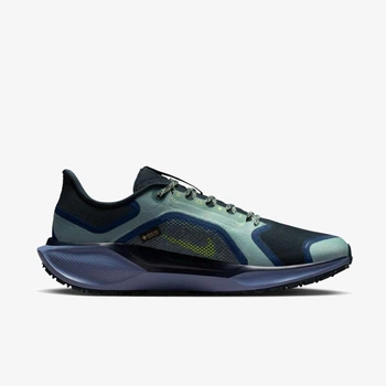 Кросівки чоловічі Nike Air Zm Pegasus 41 Gtx 45 Сірий FQ1356-006
