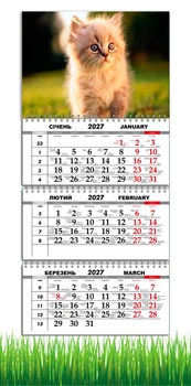 Календарь настенный квартальный на 2027 год на три пружины, Apriori , Кот , Котик ,29,7х61см