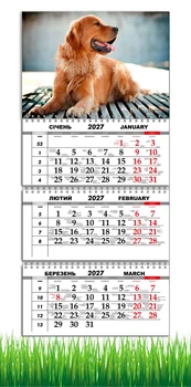 Календарь настенный квартальный на 2027 год на три пружины, Apriori , Собака , Песик , 29,7х61см