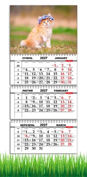 Календар настінний квартальний на 2027 рік на три пружини , Apriori , Рудий кіт, Котик , 29,7х61см