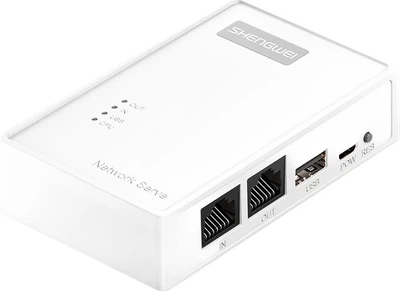 Принт-сервер Shengwei DSWU2001 USB 2.0