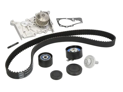 Комплект ремня ГРМ с помпой SKF (VKMC06020)