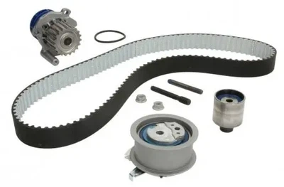 Комплект ременя ГРМ з помпою SKF (VKMC01250-1)
