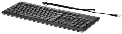 Klawiatura przewodowa HP Standard Basis Keyboard USB Black (QY776AA#B13)