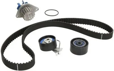 Комплект ремня ГРМ с помпой SKF (VKMC03258)