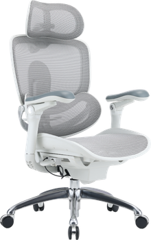 Крісло офісне ергономічне Sihoo DORO C300 PRO V2 White (4820216980165)
