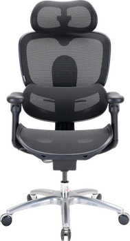 Крісло офісне ергономічне Sihoo DORO C300 LITE V2 Чорне (4820216980103)
