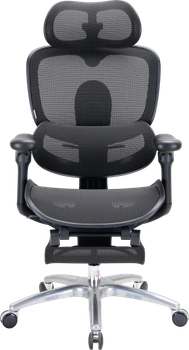 Крісло офісне ергономічне Sihoo DORO C300 LITE V2 з підніжкою Чорне (4820216980110)