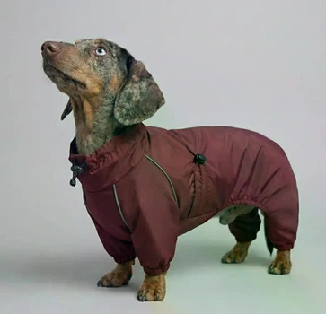 Дощовик-комбінезон для такс DogsBomba Марсала розмір 5 непромокальний одяг для собак водовідштовхувальний демісезонний осінній весняний захист від дощу вітру бруду на змійці плащівка з регуляторами унісекс МТ-32/5