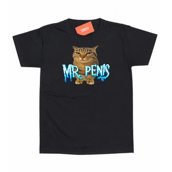 Футболка Сlassic "Mr. Penis" M